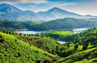 Munnar, Kerala
