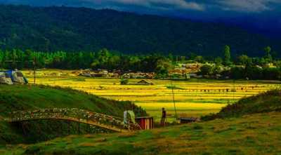 8304371ziro_20191110021300