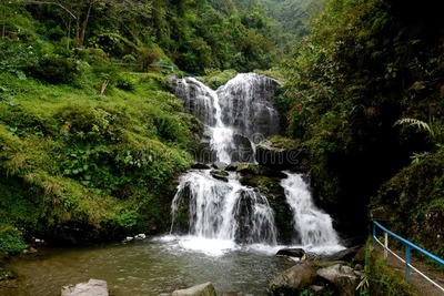 rock garden darjeeling timing, photo, ticket fare