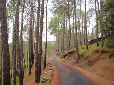 Binsar, Uttarakhand: Tranquilizing Himalayan Views & Much More