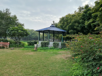 Daylight Photo from Galaxy S21 FE