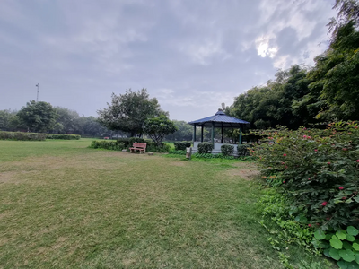 Wide-Angle Photo from Galaxy S21 FE