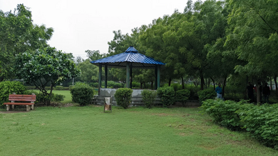 Daylight photo from Google Pixel 6a