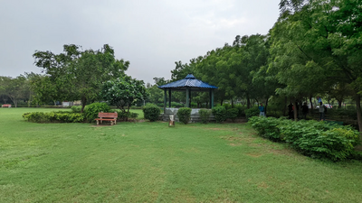 Google Pixel 6a Wide-Angle Camera