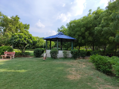 Best Camera Phone Under 30000 Daylight Photo