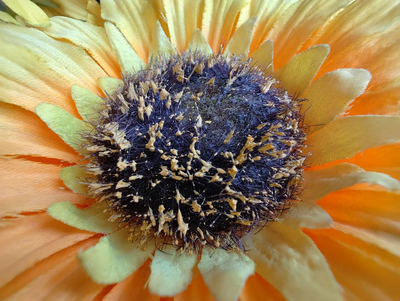 Best Camera Phone Under 30000