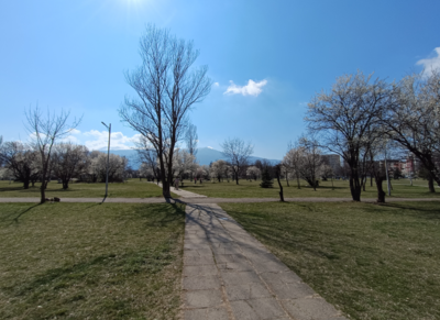 Xiaomi Redmi Note 12 Pro Plus Camera Sample