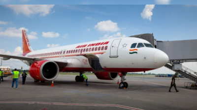 Air India Sale 2023