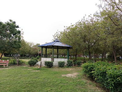 iQOO Z7 Camera Samples - Best Camera Phone Under 20000 for Lowlight Photography