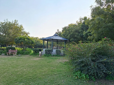 Realme 9 Pro Plus 5G Camera Samples: Best Camera Phone Under 20000 with Sony Sensor