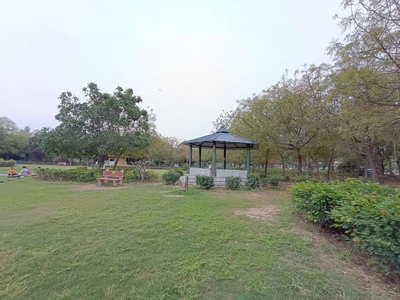 Moto g73 5G Camera Samples: Best Camera Phone Under 20000 without OIS