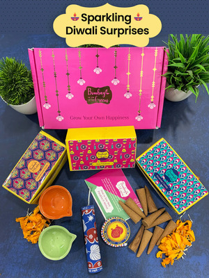 Plantable Seed Crackers Diwali Gift Hamper for Relatives