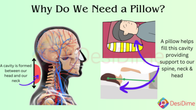 Why we need a pillow