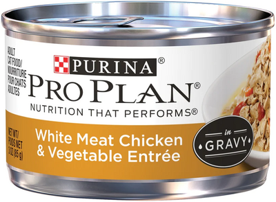 best cat wet food best cat dry food