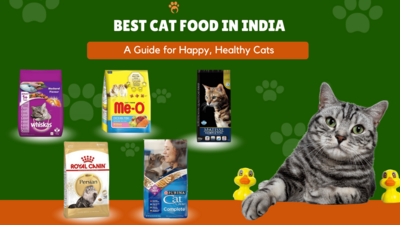 10 Best Cat Food in India 2024 (Dry & Wet) with Cat Food Buying Guide