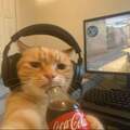 Chillkit
