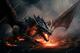 Dragon53