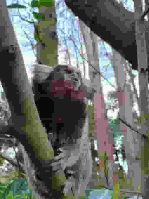 moto-g64-5G-IN-camera-gallery-2-d-rtx1g1ue