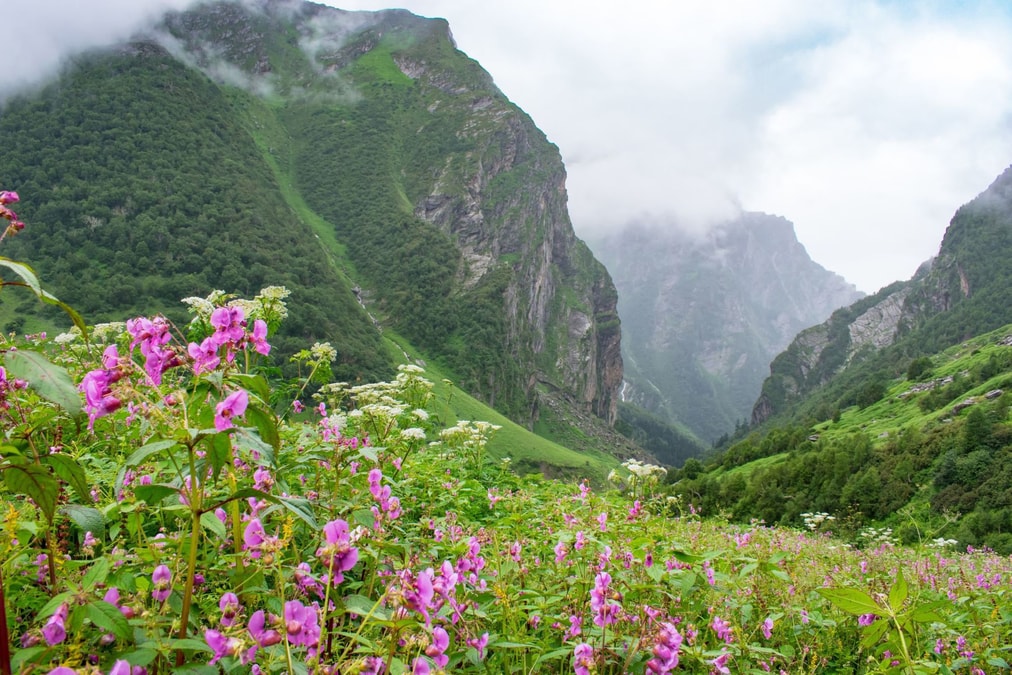 Valley-of-Flowers-Uttarakhand-A-Complete-Travel-Guide1
