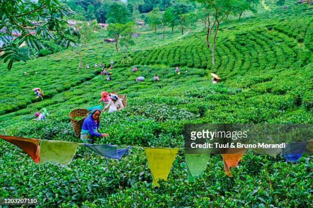 gettyimages-1203207110-612x612