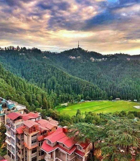 AnnadaleShimlabeauty