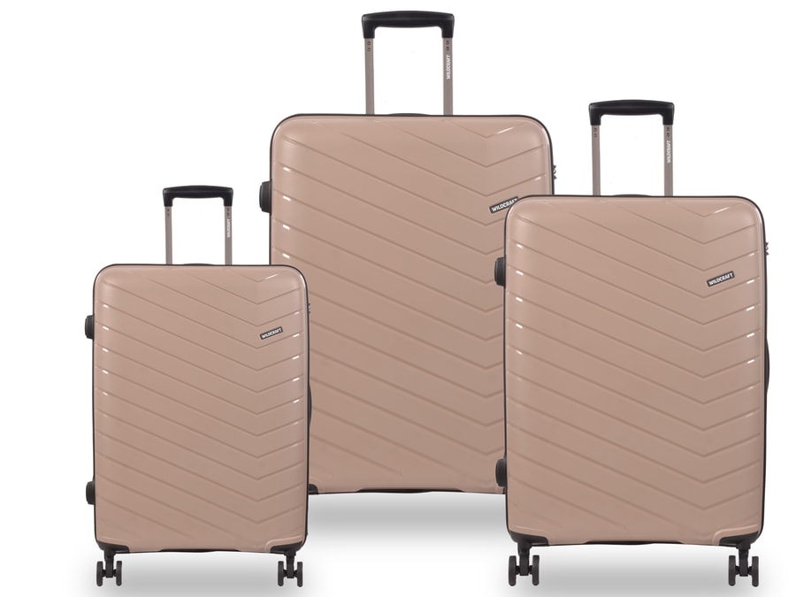 budget friendly travel bags