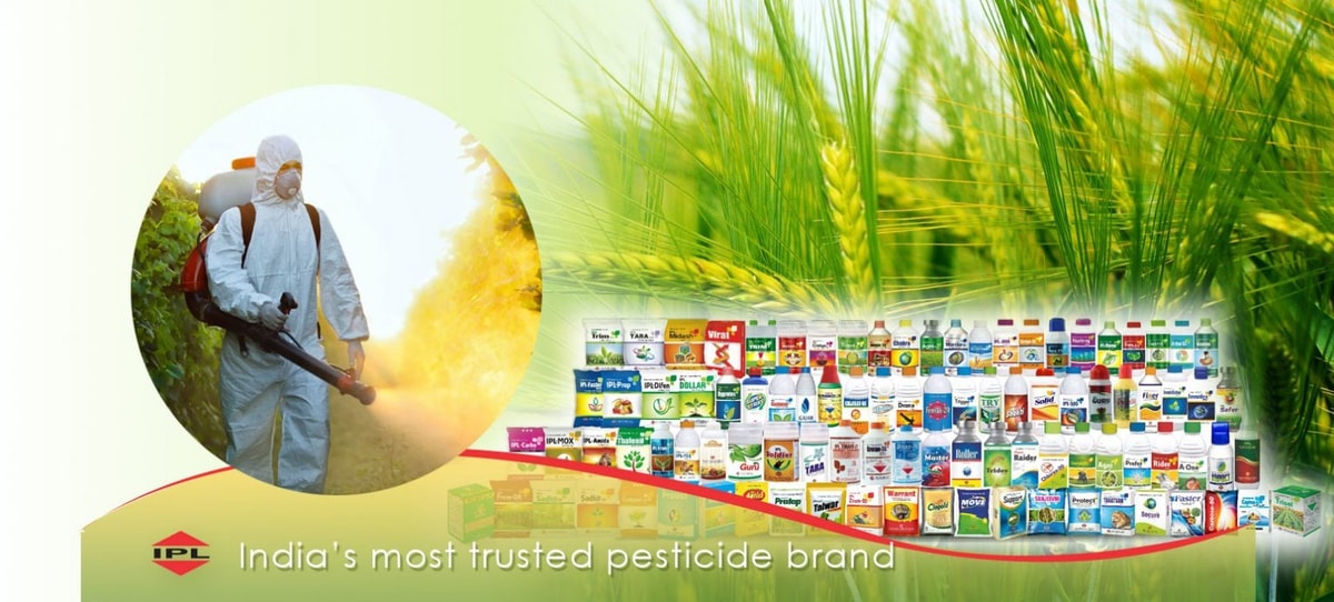 india pesticides limited ipo