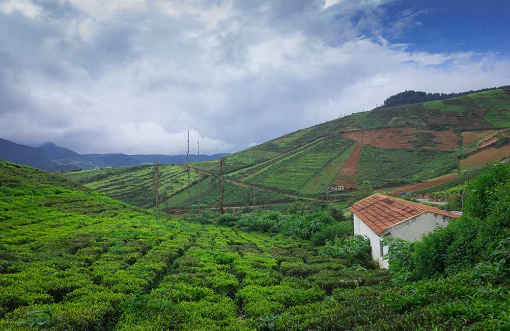 https://cdn0.desidime.com/attachments/photos/725886/medium/Coorg-1.jpg?1638511255