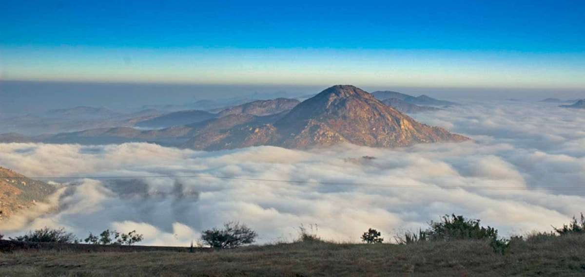 8304371Nandi-Hills