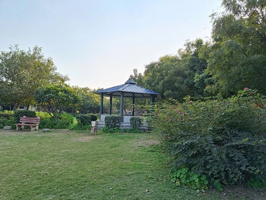 Realme 9 Pro Plus 5G Camera Samples: Best Camera Phone Under 20000 with Sony Sensor