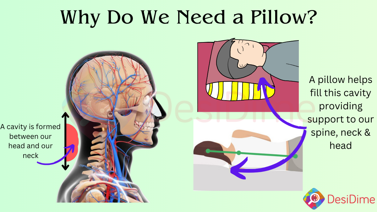 Why we need a pillow