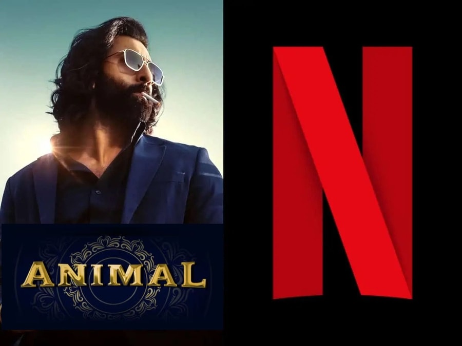 ANIMAL now streaming on Netflix OTT! DesiDime