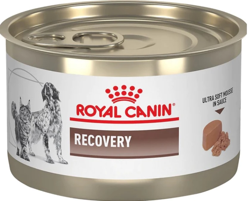 Royal Canin Veterinary Diet Recovery RS Cat Food