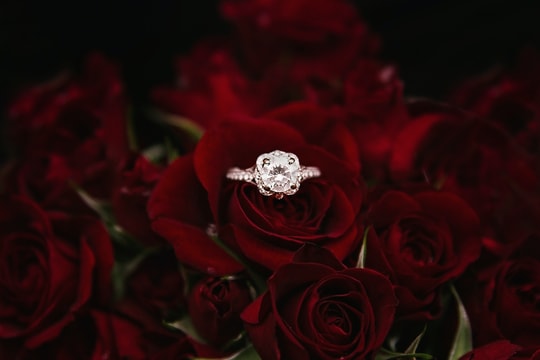 Valentines Day Ideas that will make you the best planner of all time for your significant other.