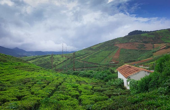 https://cdn0.desidime.com/attachments/photos/725886/medium/Coorg-1.jpg?1638511255