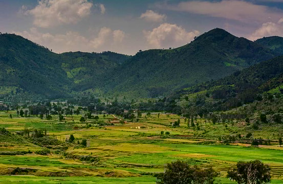 https://cdn0.desidime.com/attachments/photos/725904/medium/araku-valley-1.jpg?1638512953