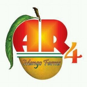 AR4 Mangoes