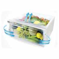 Koryo 509 L Frost Free Side by Side Refrigerator  (Silver, KSBS549INV)