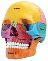 Educational Toys and Games - Up to 80% off