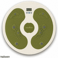 Ecowellness Ab Exercisers @ 82% off