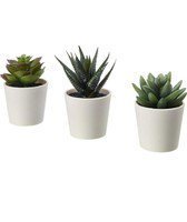 FEJKA Artificial Potted Plant with Pot (6 cm 3 Pack (2 ¼" 3 Pack) - FREE