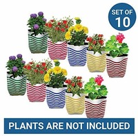 Trust Basket Stripe Grow Bags (Multicolour, Pack of 10)