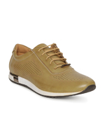 Flat 80% off on Branded Casual Shoes[Duke, Alberto Torresi and more]