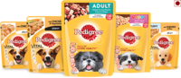 Free Pedigree 80g Gravy Sample for your PET