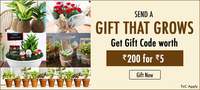 Get Rs 200/- worth gift card for Rs 5/- ( nurserylive.com )