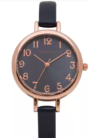 Aeropostale brand watches Rs 270