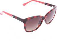 CALVIN KLEIN SUNGLASSES UPTO 87% OFF STARTING @ 1145