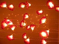 Tu Casa DW-240-11 Kupi Flower String Light (Purple/White)