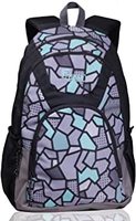 F Gear or Gear backpacks n suitcase upto 76% off || min 70% off