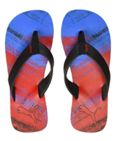 Puma shoes at upto 80% off